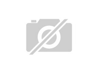 Fahrradträger für Faltcaravan Trigano Chantilly gesucht